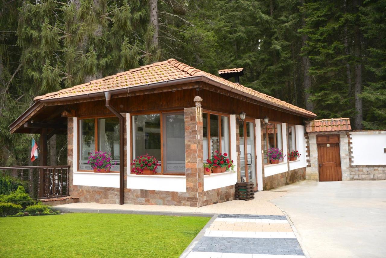 Ивелия Къща За Гости Dospat Exterior photo