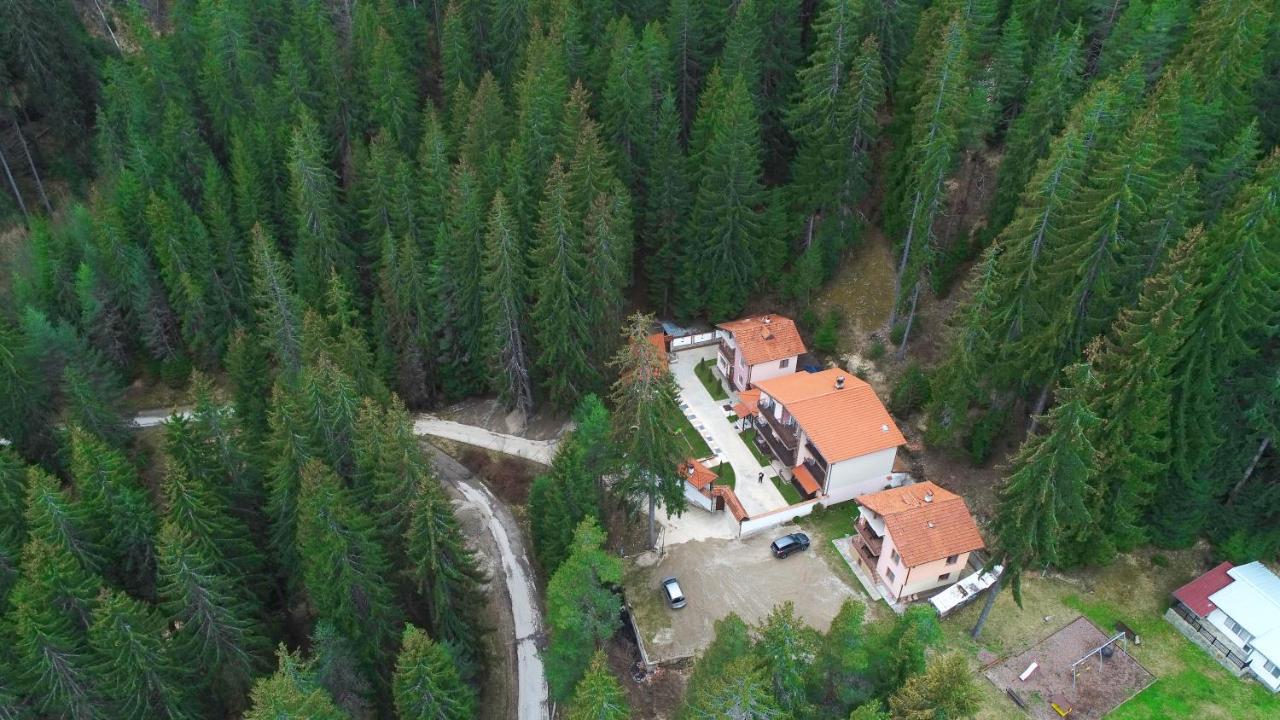 Ивелия Къща За Гости Dospat Exterior photo